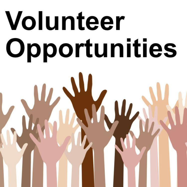 Volunteer opportunities image800w
